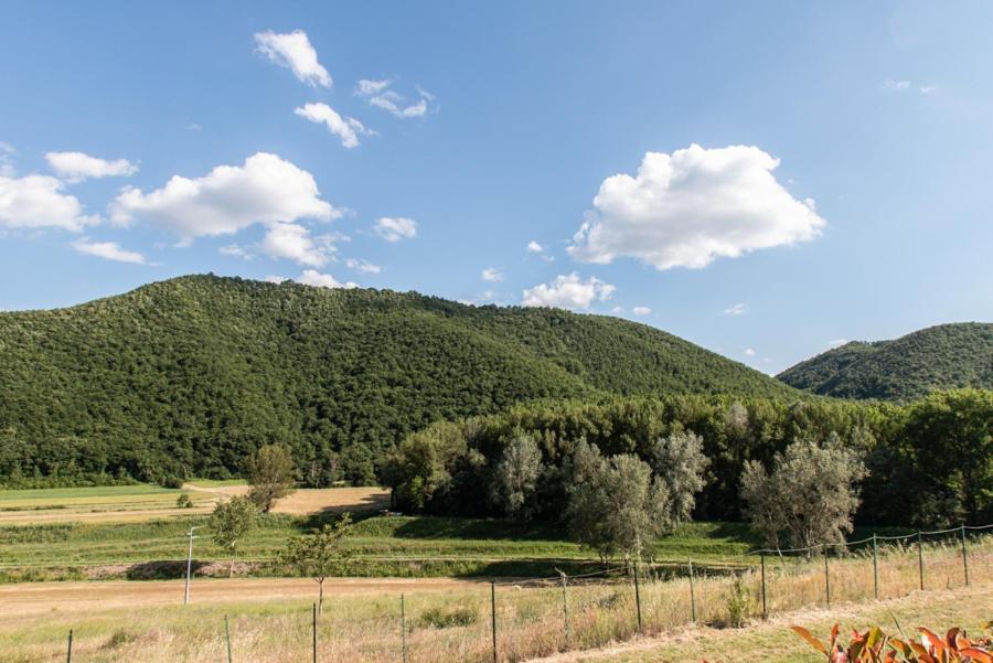 Il Colombaio Agriturismo Montegabbione Exteriör bild