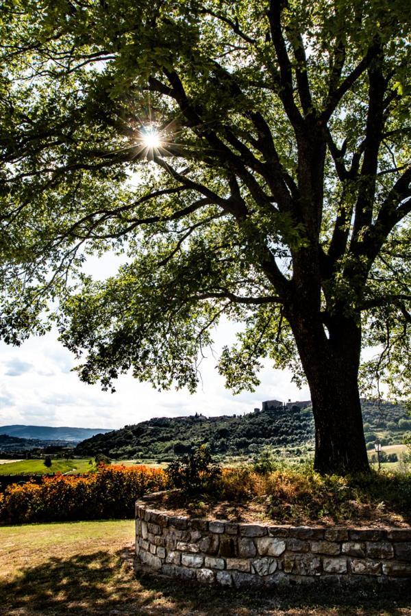 Il Colombaio Agriturismo Montegabbione Exteriör bild